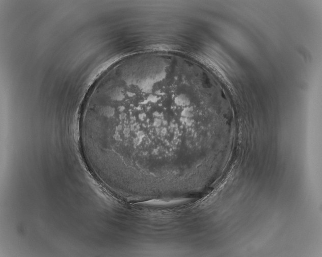 X0000112881031200909111438