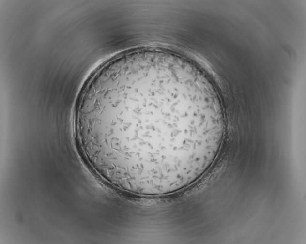 X0000112881032200909111438