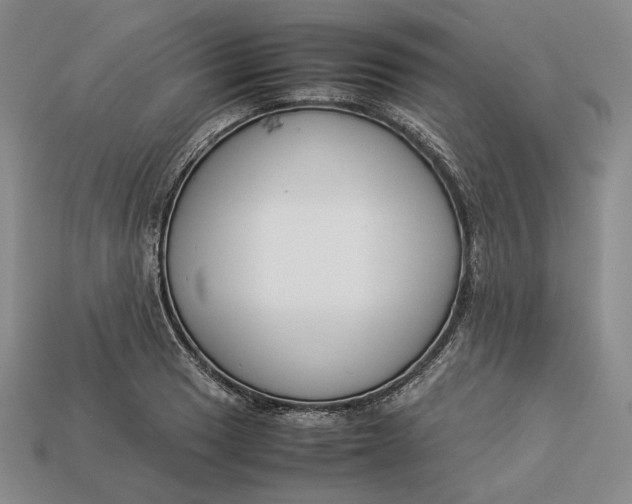 X0000112881033200909111438