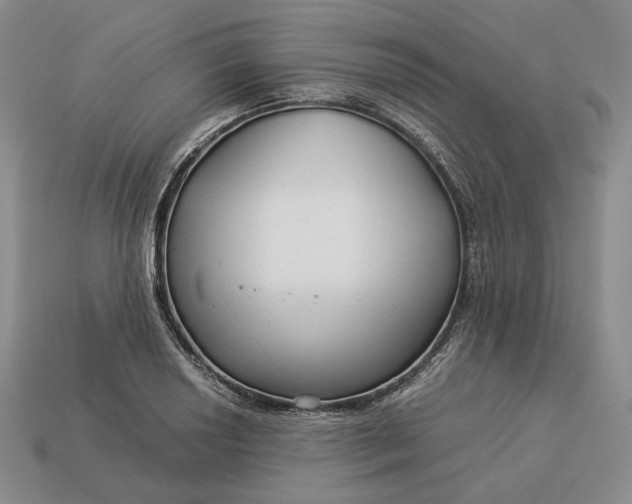 X0000112881034200909111438