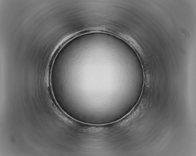 X0000112881036200909111438