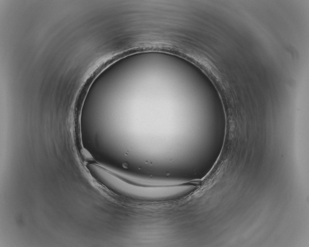 X0000112881038200909111439