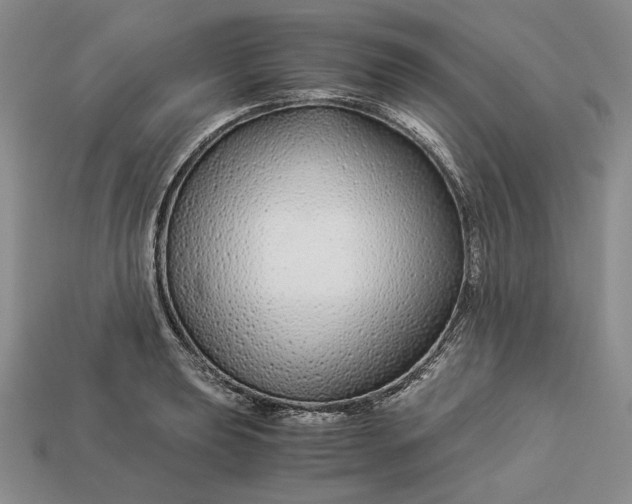 X0000112881039200909111439