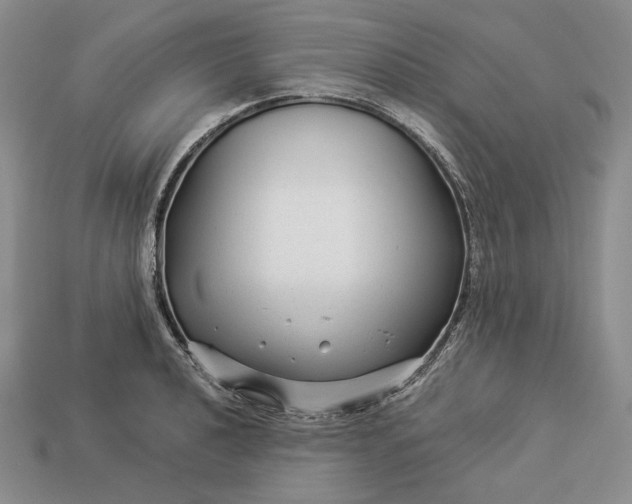 X0000112881040200909111439