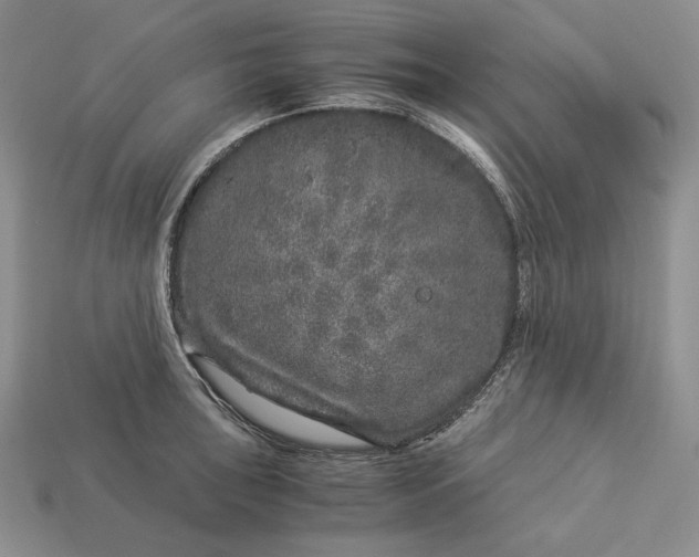 X0000112881043200909111439