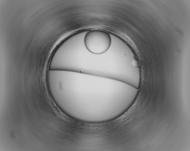 X0000112881044200909111439