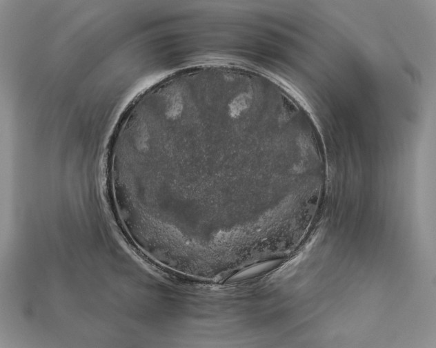 X0000112881045200909111439