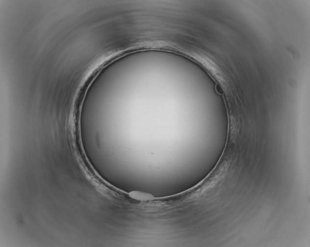 X0000112881046200909111439