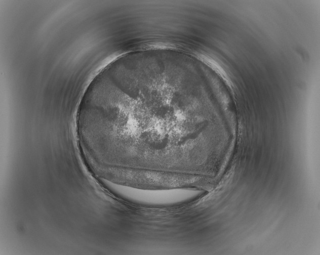 X0000112881047200909111439