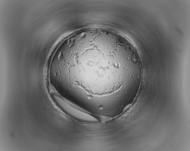 X0000112881048200909111439