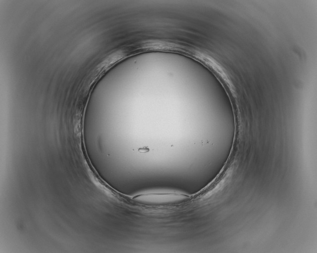 X0000112881049200909111439