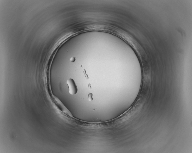 X0000112881050200909111439