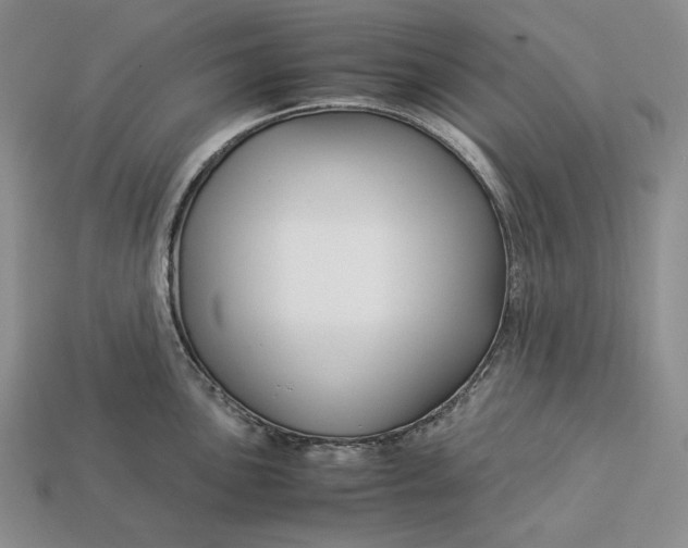 X0000112881051200909111439