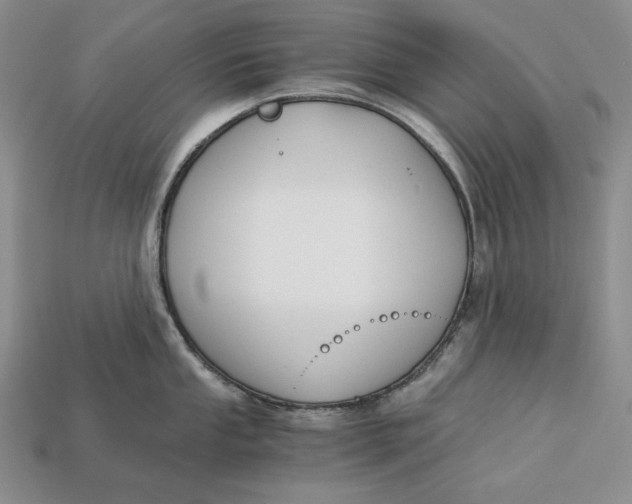 X0000112881053200909111439