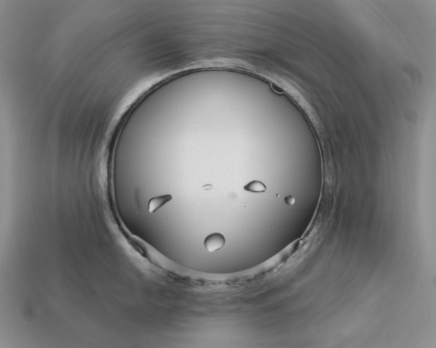 X0000112881054200909111439