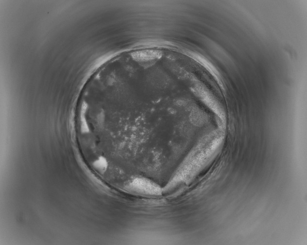 X0000112881055200909111439