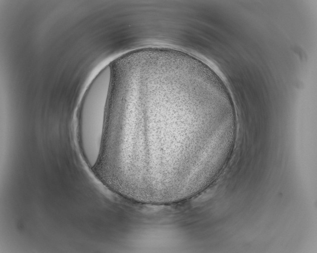 X0000112881056200909111439