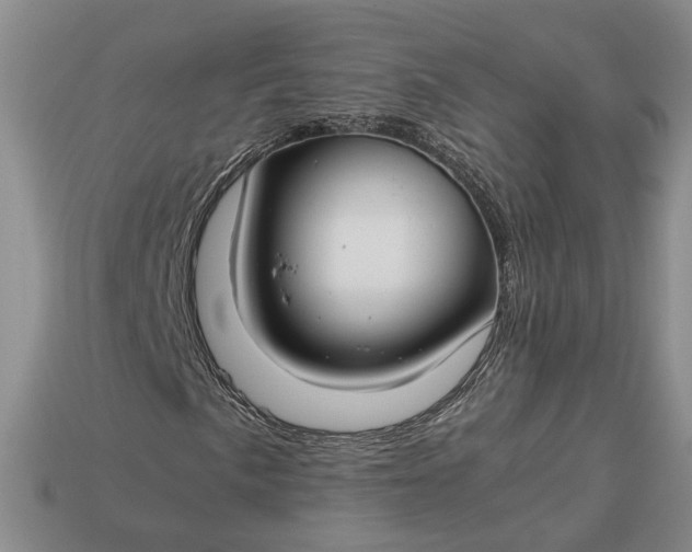 X0000112881057200909111438