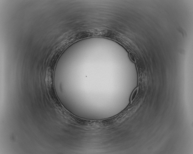 X0000112881058200909111438