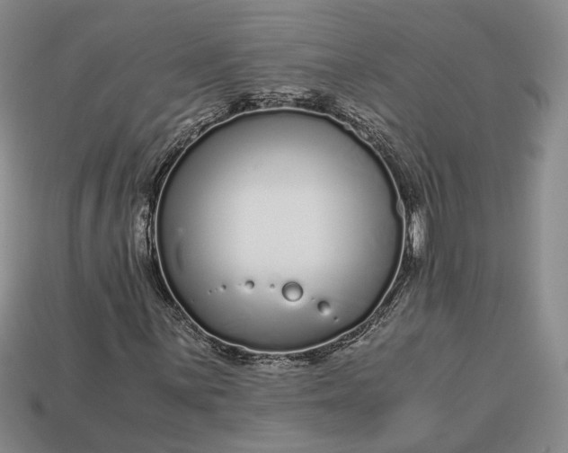 X0000112881059200909111438