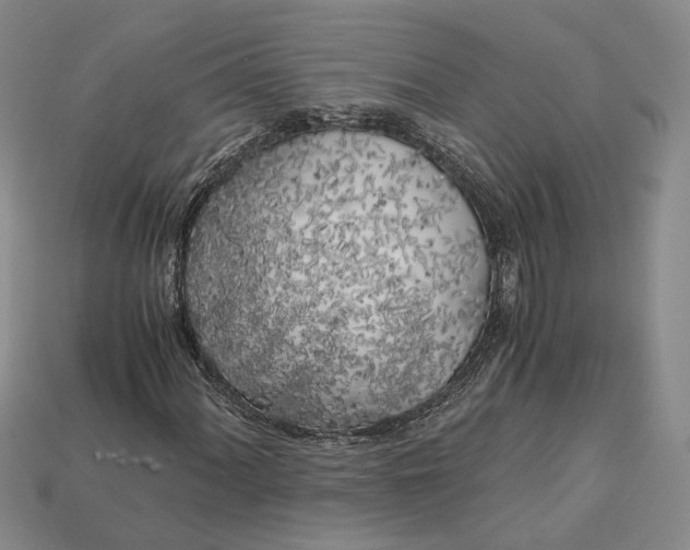 X0000112881060200909111438