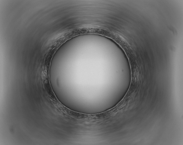 X0000112881062200909111438