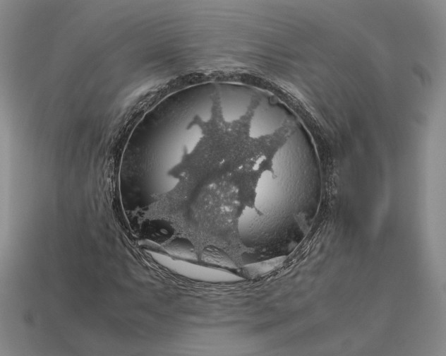 X0000112881063200909111438