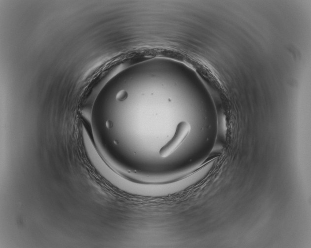 X0000112881064200909111438