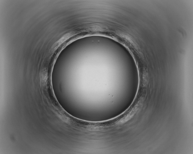 X0000112881065200909111438