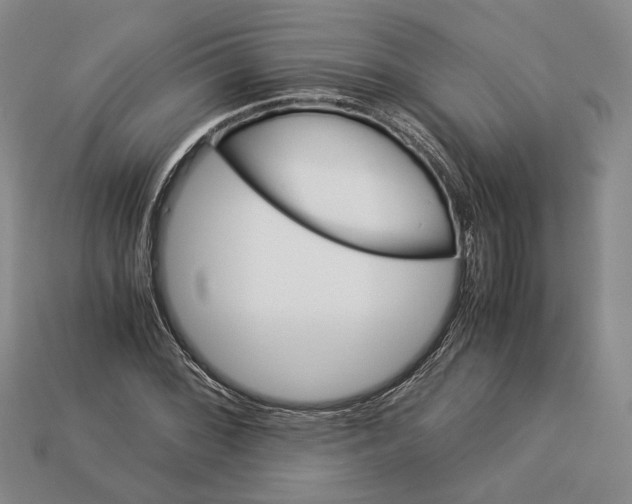 X0000112881068200909111438