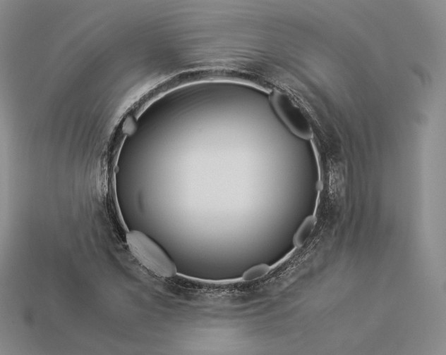 X0000112881069200909111438