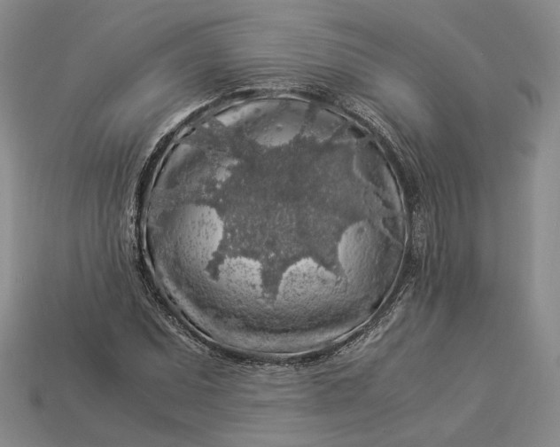 X0000112881071200909111438