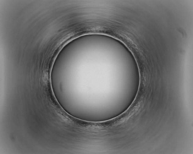 X0000112881073200909111438