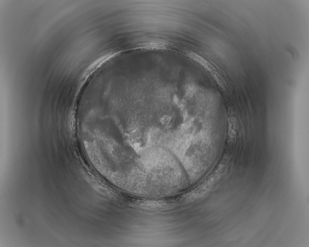 X0000112881074200909111438