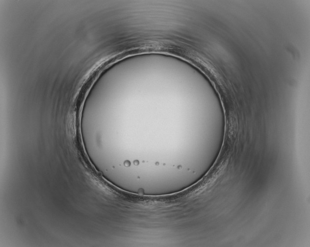 X0000112881075200909111438