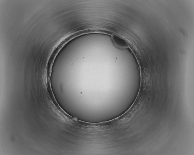 X0000112881076200909111438