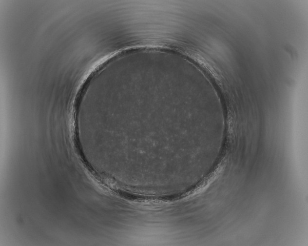 X0000112881077200909111438