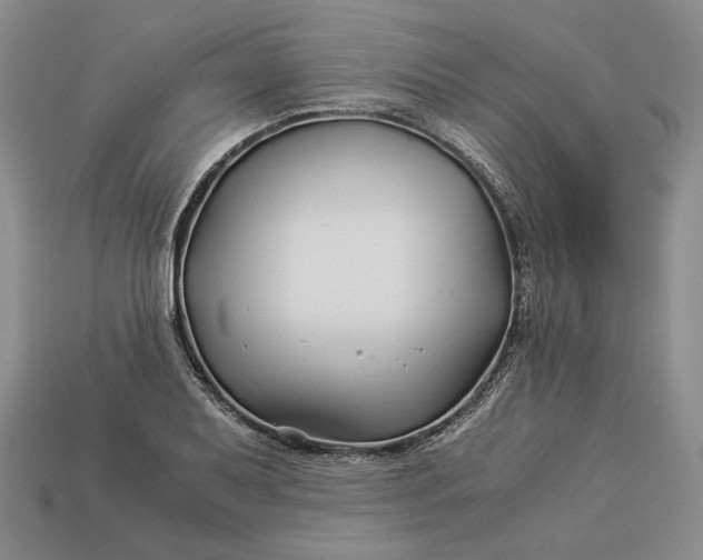 X0000112881079200909111438