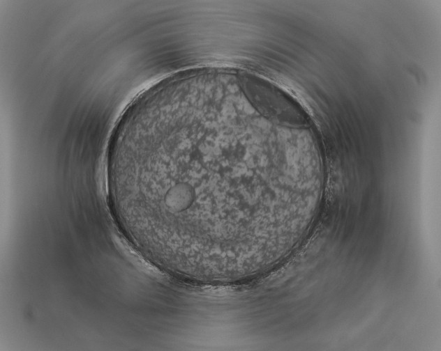 X0000112881080200909111438