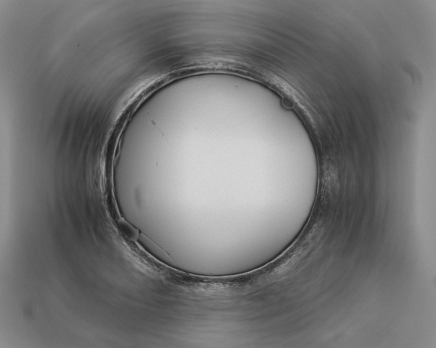 X0000112881082200909111438