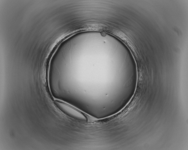 X0000112881083200909111438