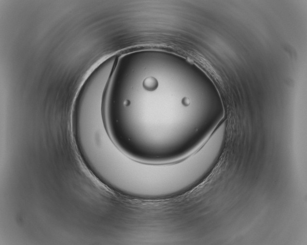 X0000112881084200909111438