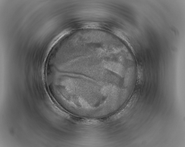 X0000112881090200909111438