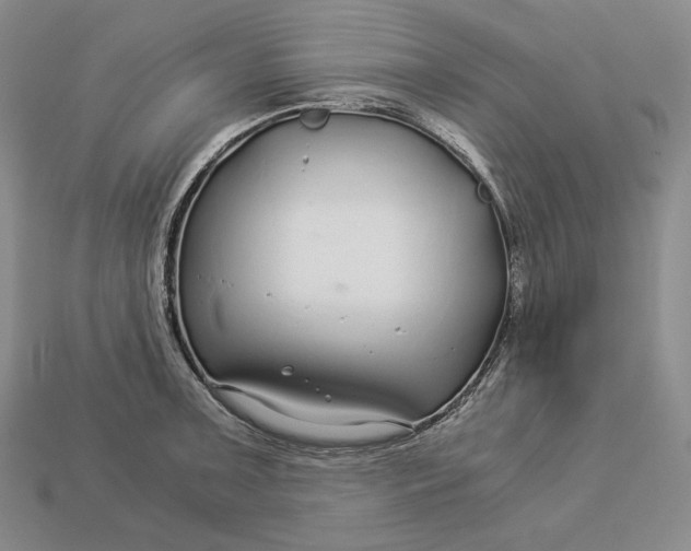 X0000112881091200909111438