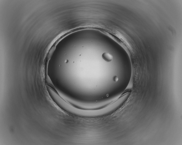 X0000112881092200909111438