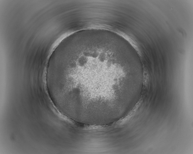 X0000112881094200909111438