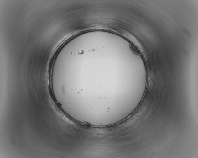 X0000112881096200909111438