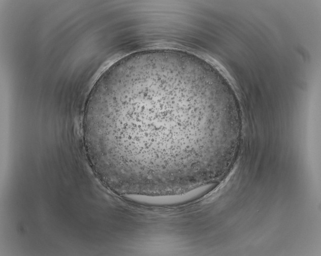 X0000112881097200909111438