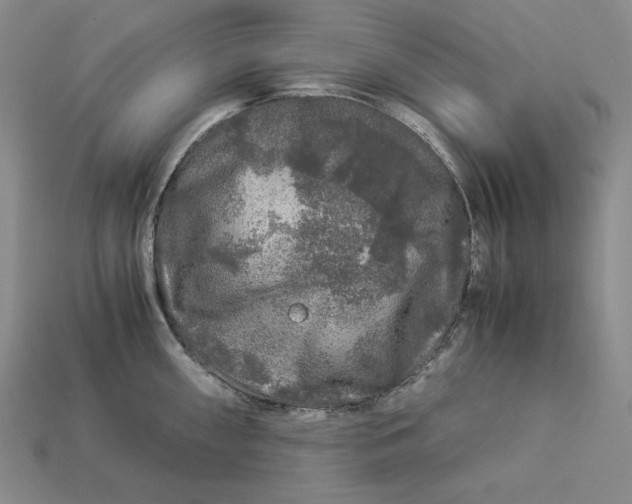 X0000112881098200909111438