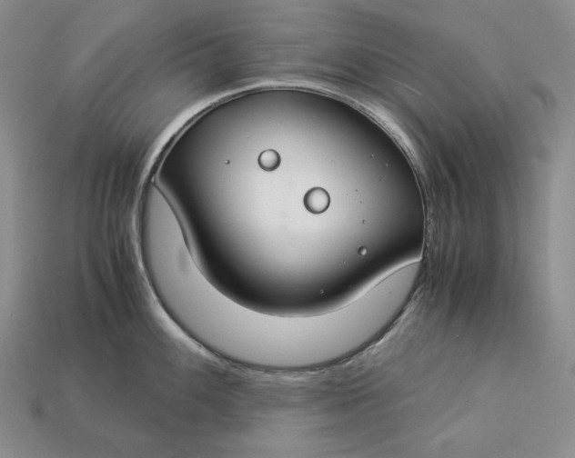 X0000112881100200909111438